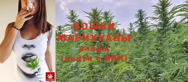 амф Богородицк