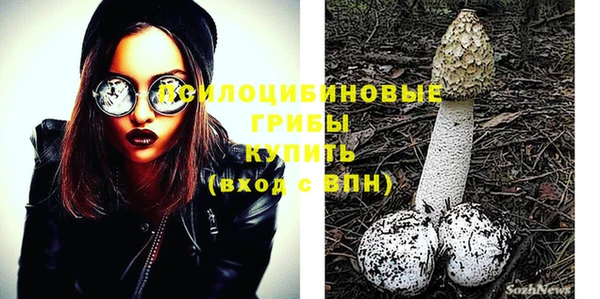 амф Богородицк