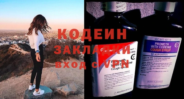 шишки Богданович