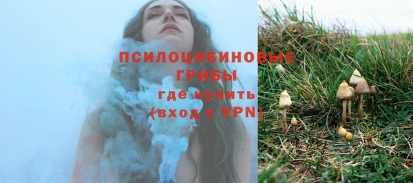 амф Богородицк
