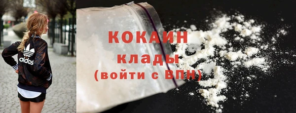 шишки Богданович
